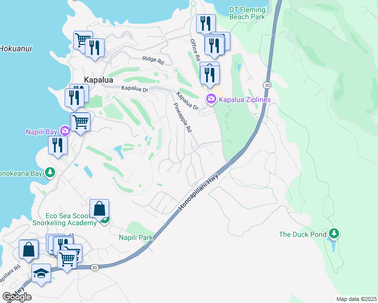 map of restaurants, bars, coffee shops, grocery stores, and more near 100 Woodrose Place in Lahaina