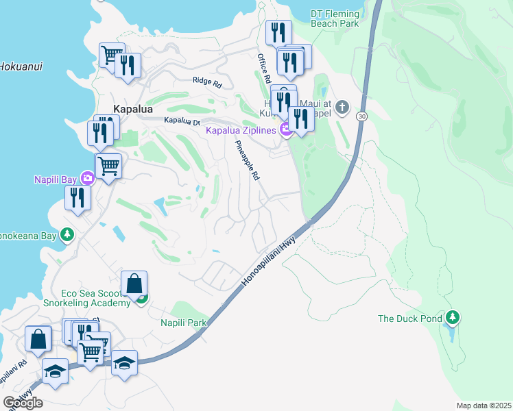 map of restaurants, bars, coffee shops, grocery stores, and more near 100 Woodrose Place in Lahaina