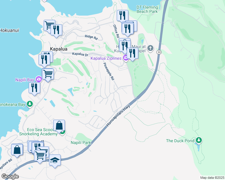 map of restaurants, bars, coffee shops, grocery stores, and more near 102 Woodrose Place in Lahaina