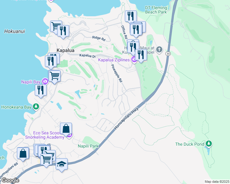 map of restaurants, bars, coffee shops, grocery stores, and more near 306 Cook Pine Drive in Lahaina