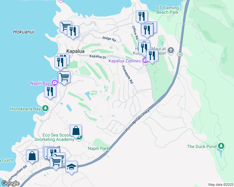 map of restaurants, bars, coffee shops, grocery stores, and more near 704 Fairway Drive in Lahaina