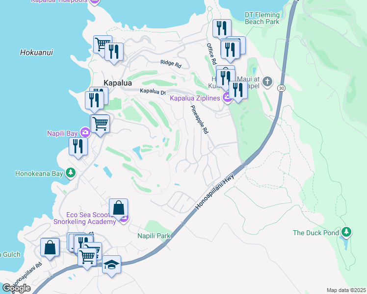 map of restaurants, bars, coffee shops, grocery stores, and more near 704 Fairway Drive in Lahaina