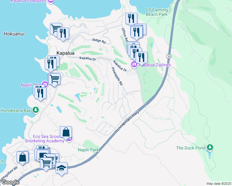 map of restaurants, bars, coffee shops, grocery stores, and more near 308 Cook Pine Drive in Lahaina