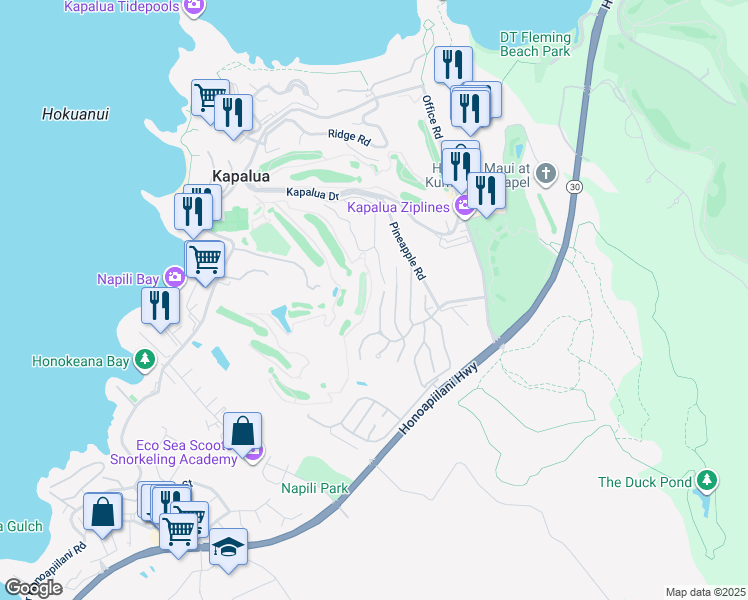 map of restaurants, bars, coffee shops, grocery stores, and more near 704 Fairway Drive in Lahaina