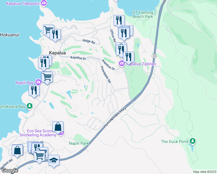 map of restaurants, bars, coffee shops, grocery stores, and more near 110 Woodrose Place in Lahaina