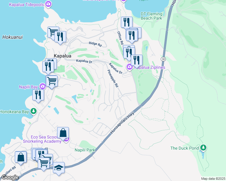map of restaurants, bars, coffee shops, grocery stores, and more near 314 Cook Pine Drive in Lahaina