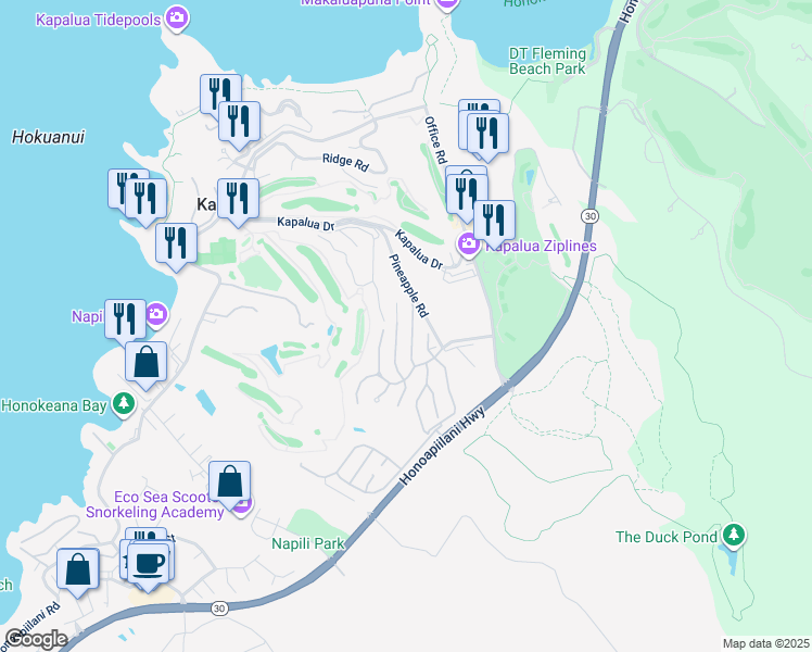 map of restaurants, bars, coffee shops, grocery stores, and more near 314 Cook Pine Drive in Lahaina