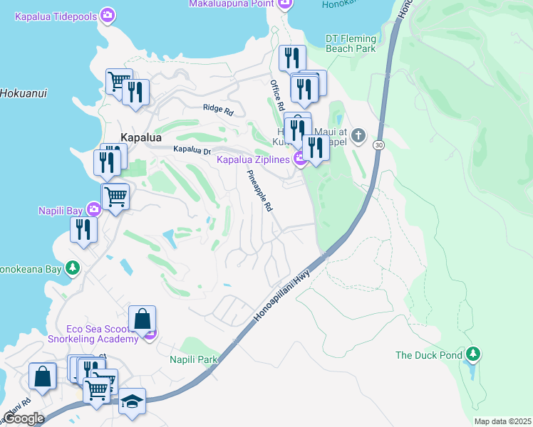 map of restaurants, bars, coffee shops, grocery stores, and more near 114 Woodrose Place in Lahaina