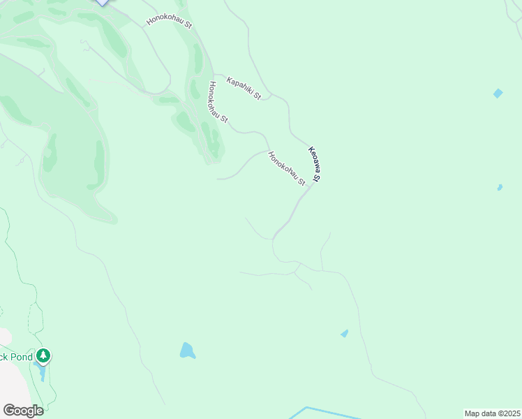 map of restaurants, bars, coffee shops, grocery stores, and more near 138 Keoawa Street in Lahaina
