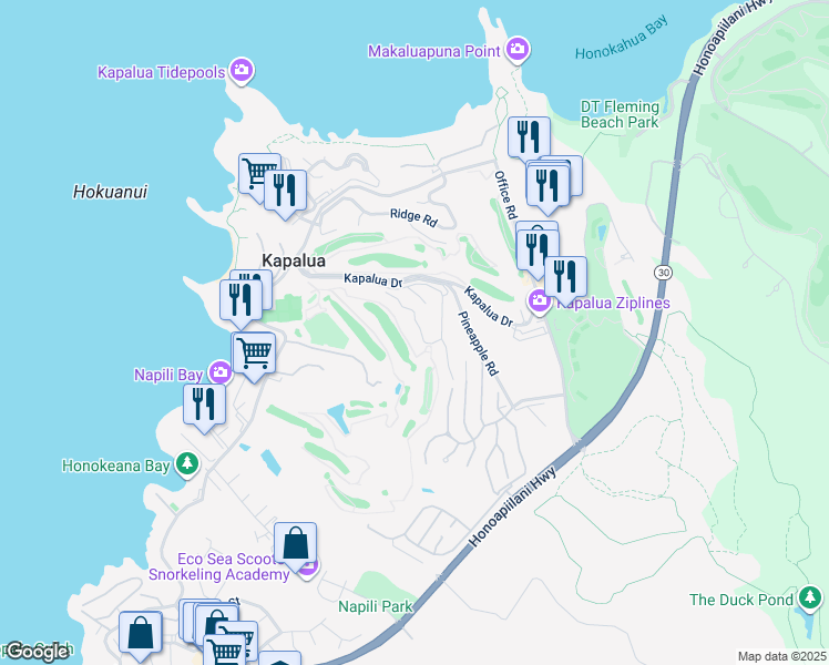 map of restaurants, bars, coffee shops, grocery stores, and more near 500 Kapalua Drive in Lahaina