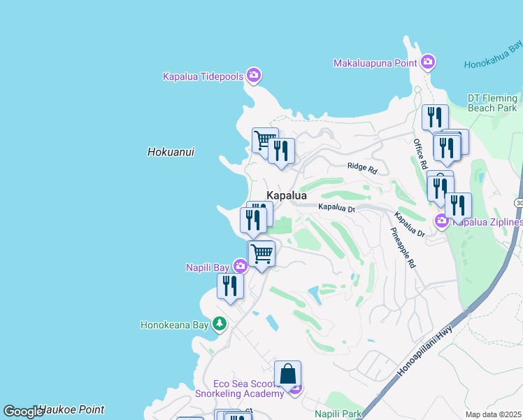 map of restaurants, bars, coffee shops, grocery stores, and more near 21 Coconut Grove Lane in Lahaina