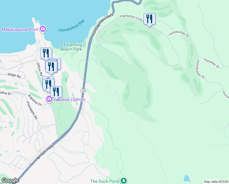 map of restaurants, bars, coffee shops, grocery stores, and more near 250 Kilau Place in Lahaina