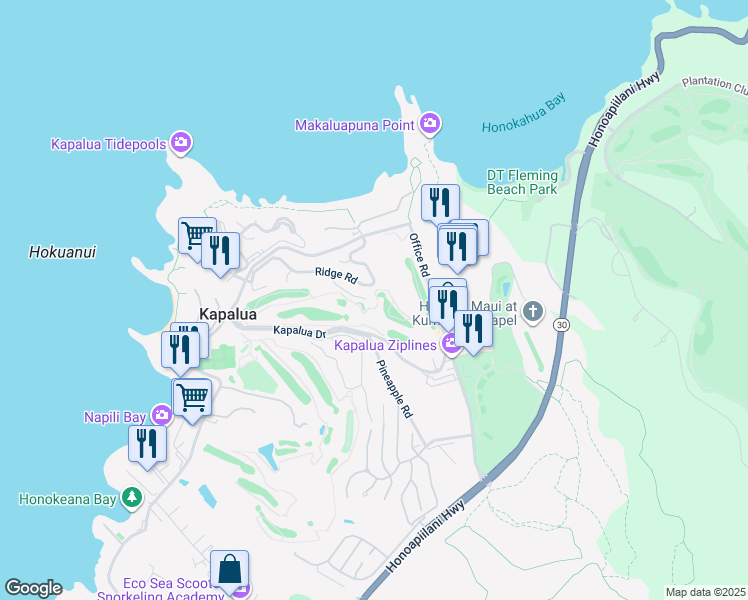 map of restaurants, bars, coffee shops, grocery stores, and more near in Kapalua