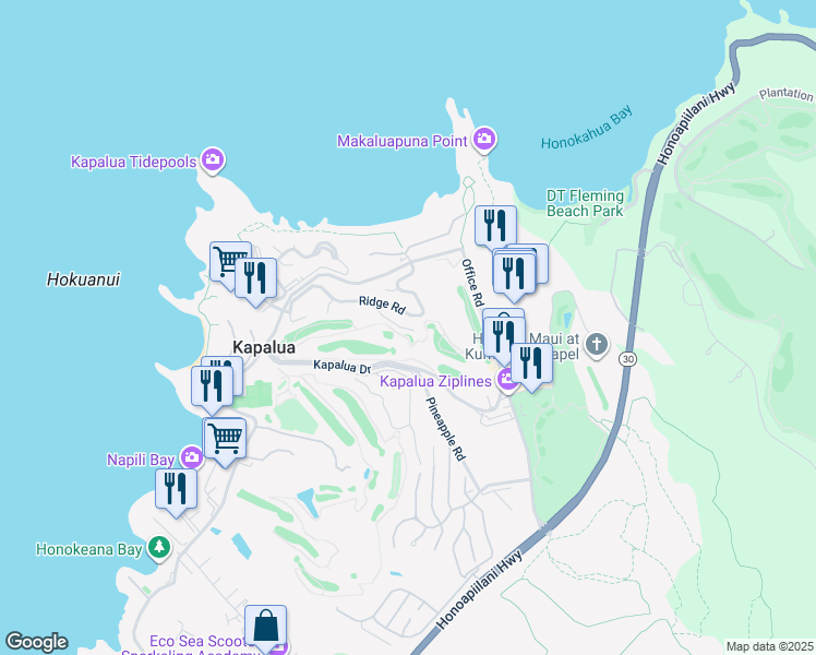 map of restaurants, bars, coffee shops, grocery stores, and more near in Kapalua