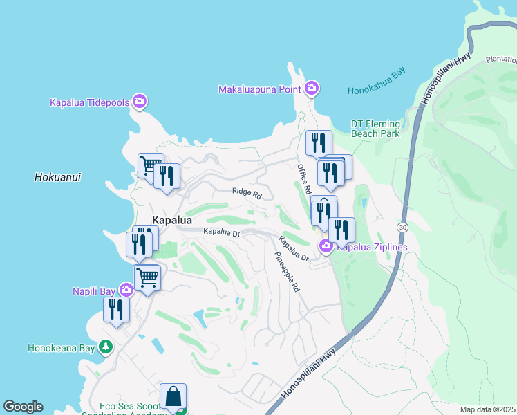 map of restaurants, bars, coffee shops, grocery stores, and more near in Kapalua