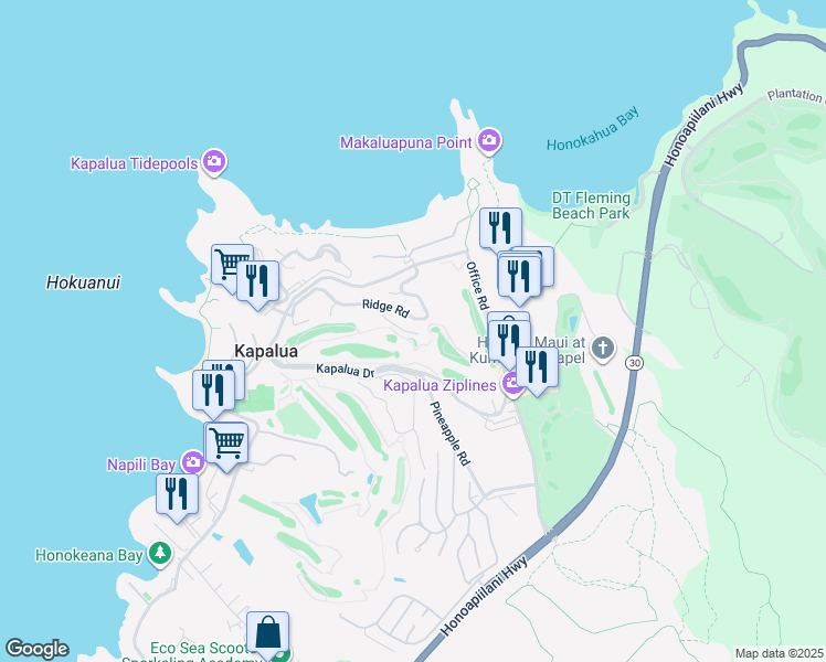 map of restaurants, bars, coffee shops, grocery stores, and more near in Kapalua