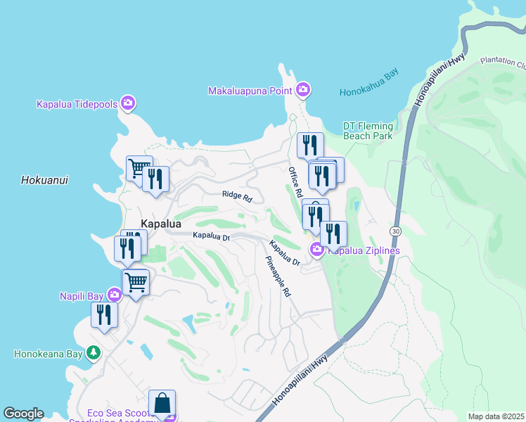 map of restaurants, bars, coffee shops, grocery stores, and more near in Kapalua