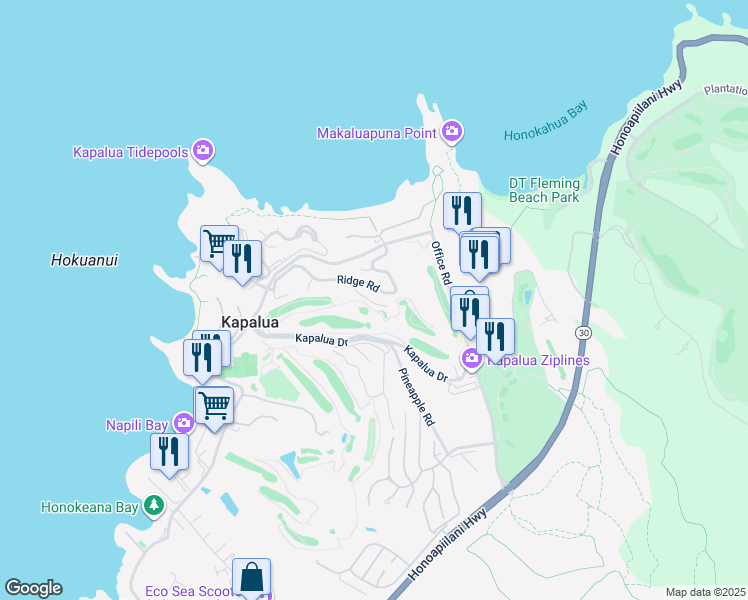 map of restaurants, bars, coffee shops, grocery stores, and more near in Kapalua