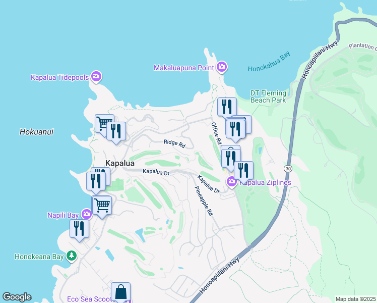 map of restaurants, bars, coffee shops, grocery stores, and more near in Kapalua