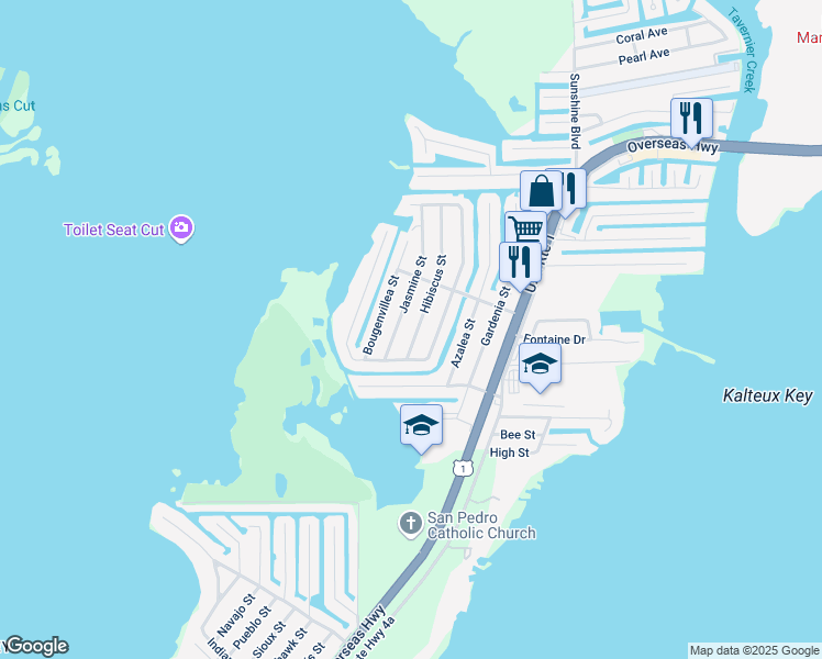 map of restaurants, bars, coffee shops, grocery stores, and more near 249 Hibiscus Street in Tavernier