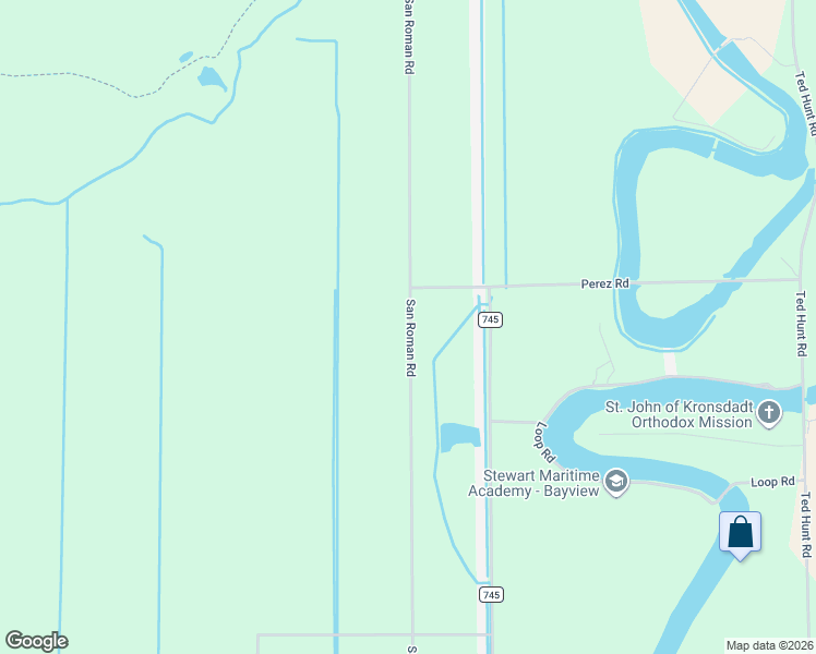 map of restaurants, bars, coffee shops, grocery stores, and more near San Roman Road in Los Fresnos