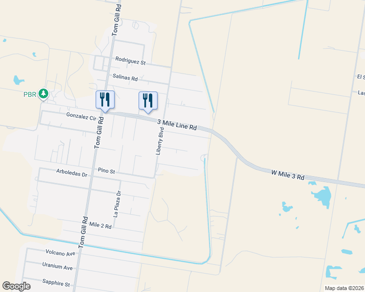 map of restaurants, bars, coffee shops, grocery stores, and more near 2007 Birch Street in Penitas