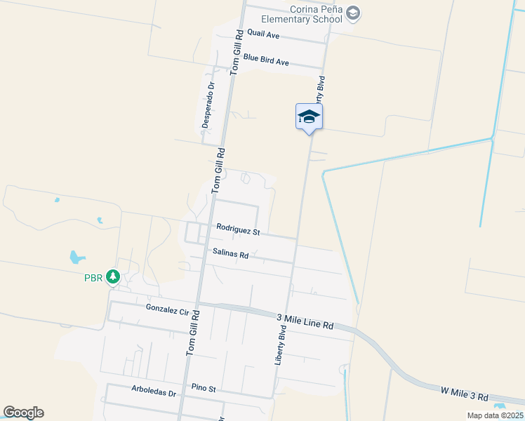 map of restaurants, bars, coffee shops, grocery stores, and more near 1717 Camino Real Boulevard in Penitas
