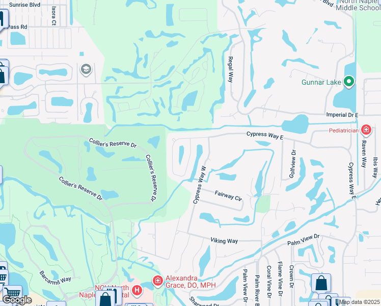 map of restaurants, bars, coffee shops, grocery stores, and more near 295 Saddlebrook Lane in Naples