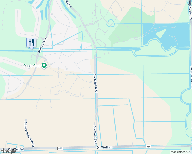 map of restaurants, bars, coffee shops, grocery stores, and more near 39 Avenue Maria Boulevard in Ave Maria