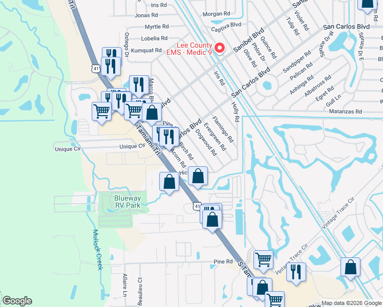 map of restaurants, bars, coffee shops, grocery stores, and more near 19109 Coconut Road in Fort Myers