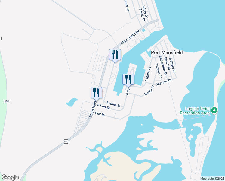 map of restaurants, bars, coffee shops, grocery stores, and more near in Raymondville