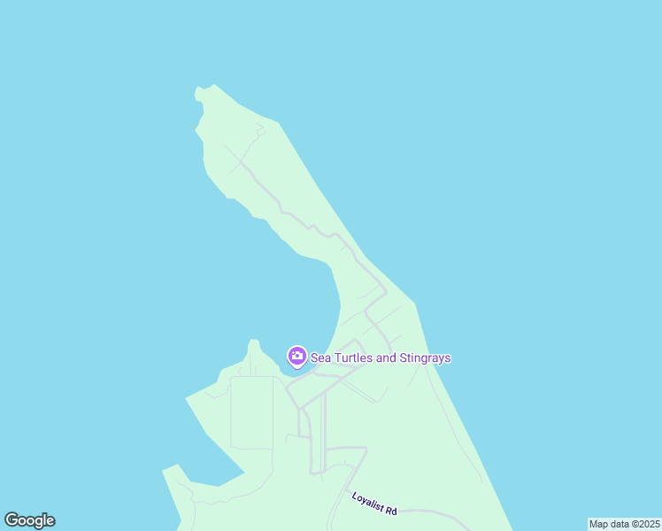 map of restaurants, bars, coffee shops, grocery stores, and more near in 
