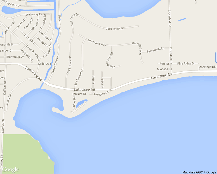 map of restaurants, bars, coffee shops, grocery stores, and more near 917 Lake June Road in Lake Placid