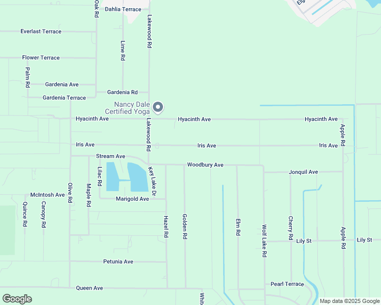map of restaurants, bars, coffee shops, grocery stores, and more near 1433 Iris Avenue in Sebring