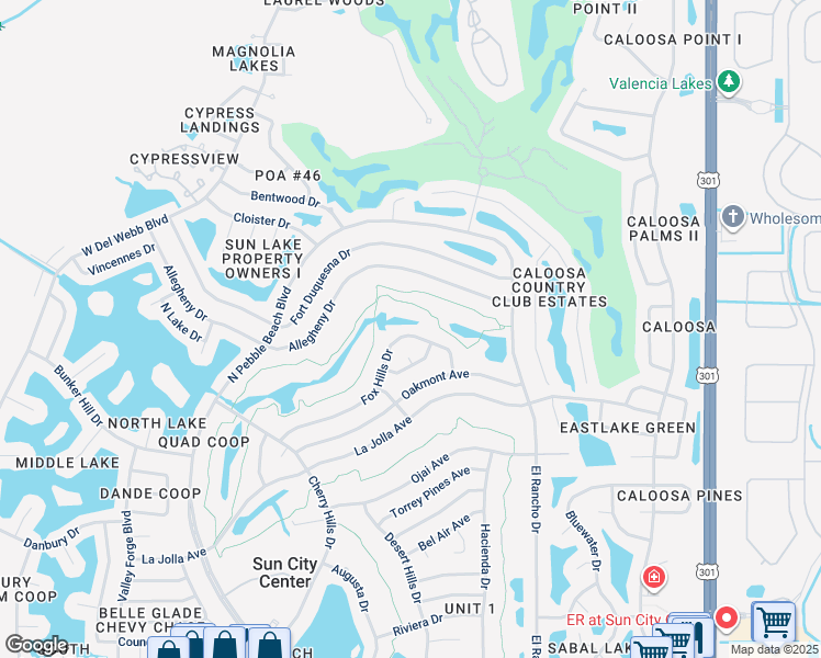 map of restaurants, bars, coffee shops, grocery stores, and more near 709 Fox Hills Drive in Sun City Center