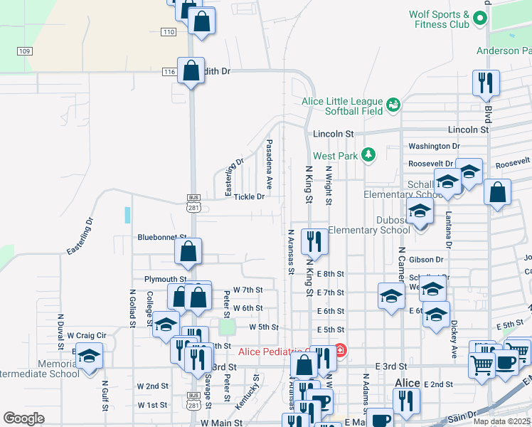 map of restaurants, bars, coffee shops, grocery stores, and more near 21 Terrell Street in Alice