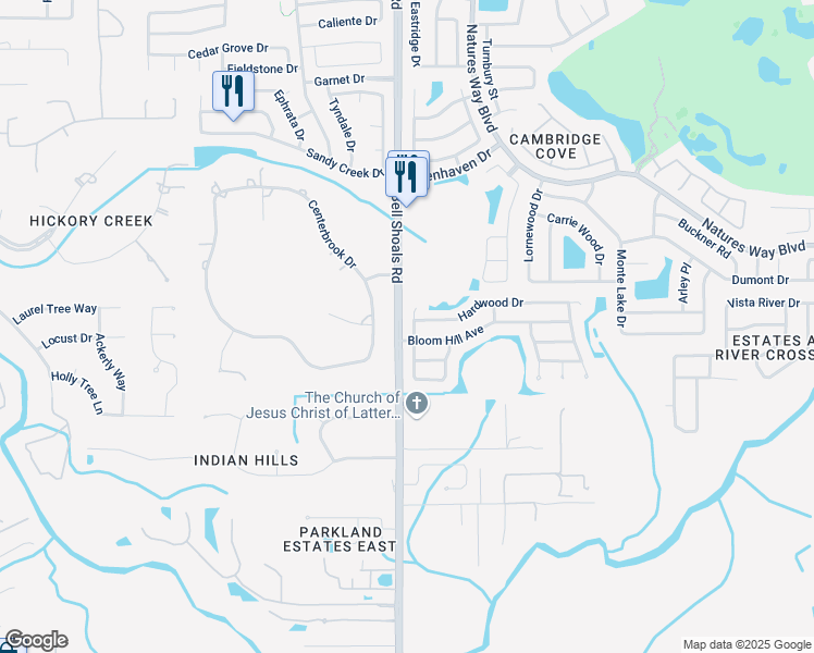 map of restaurants, bars, coffee shops, grocery stores, and more near 4513 Cabbage Palm Drive in Valrico