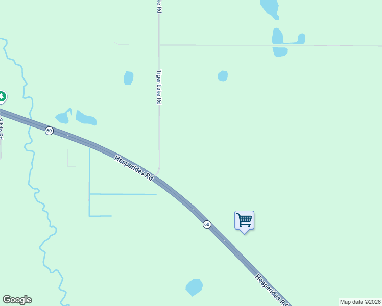 map of restaurants, bars, coffee shops, grocery stores, and more near 207 Tiger Lake Road in Lake Wales