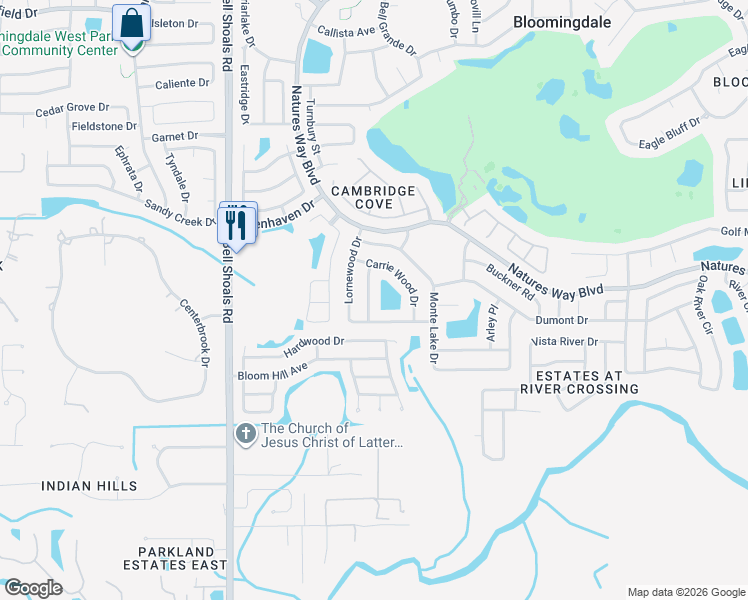 map of restaurants, bars, coffee shops, grocery stores, and more near 4312 Ellenville Place in Valrico