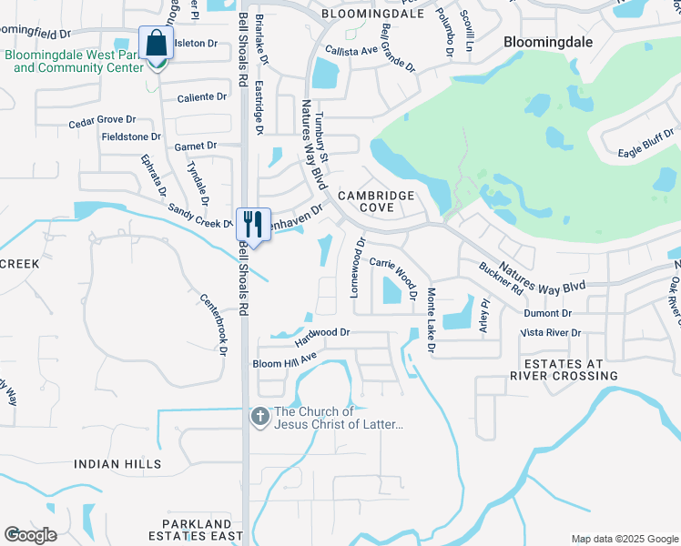 map of restaurants, bars, coffee shops, grocery stores, and more near 4530 Preston Woods Drive in Valrico