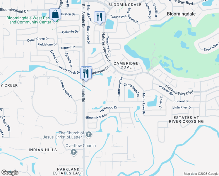map of restaurants, bars, coffee shops, grocery stores, and more near 4724 Preston Woods Drive in Valrico