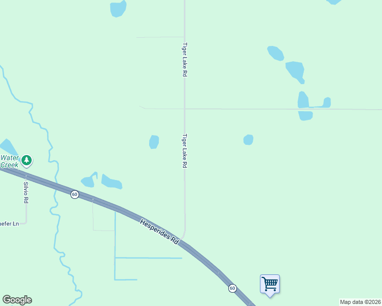 map of restaurants, bars, coffee shops, grocery stores, and more near 403 Tiger Lake Road in Lake Wales