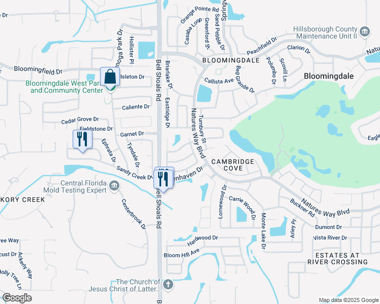 map of restaurants, bars, coffee shops, grocery stores, and more near 1016 Cameo Crest Lane in Valrico