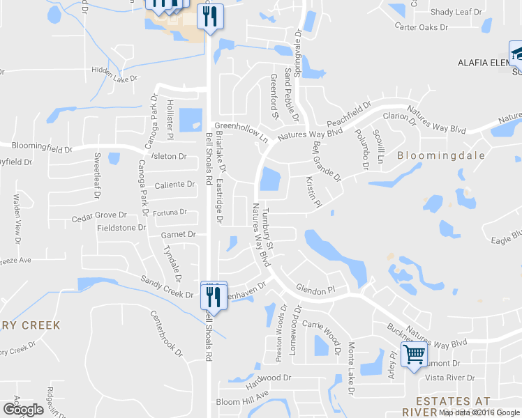 map of restaurants, bars, coffee shops, grocery stores, and more near 3903 Turnbury Street in Valrico