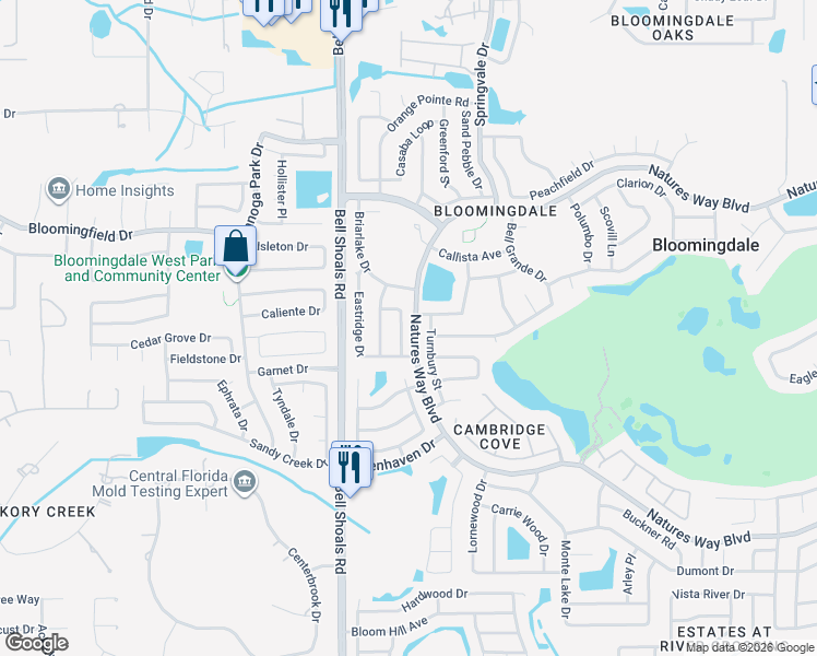 map of restaurants, bars, coffee shops, grocery stores, and more near 3903 Turnbury Street in Valrico