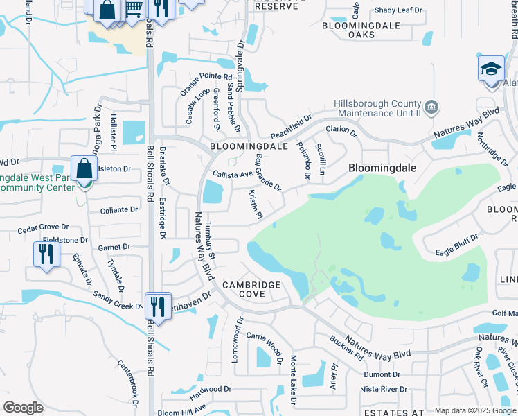map of restaurants, bars, coffee shops, grocery stores, and more near 3910 Kristin Place in Valrico