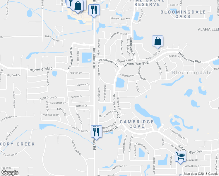 map of restaurants, bars, coffee shops, grocery stores, and more near 4006 Greenmark Lane in Valrico