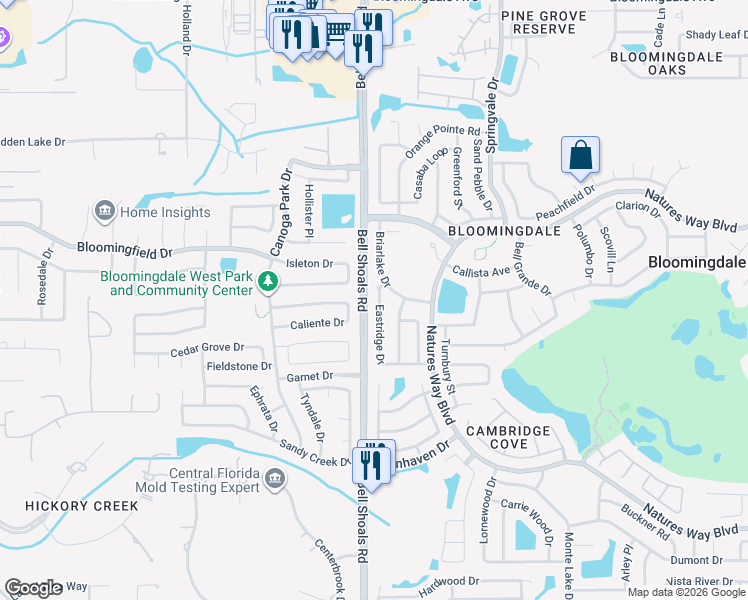 map of restaurants, bars, coffee shops, grocery stores, and more near 4007 Eastridge Drive in Valrico
