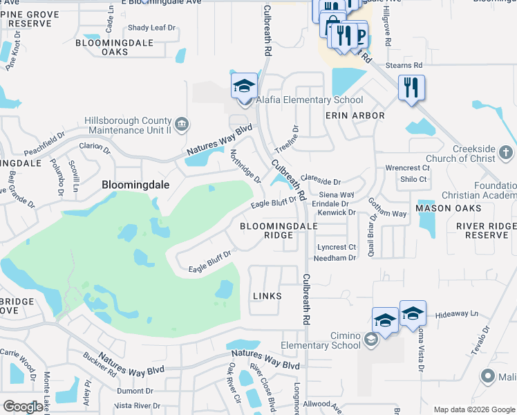map of restaurants, bars, coffee shops, grocery stores, and more near in Valrico