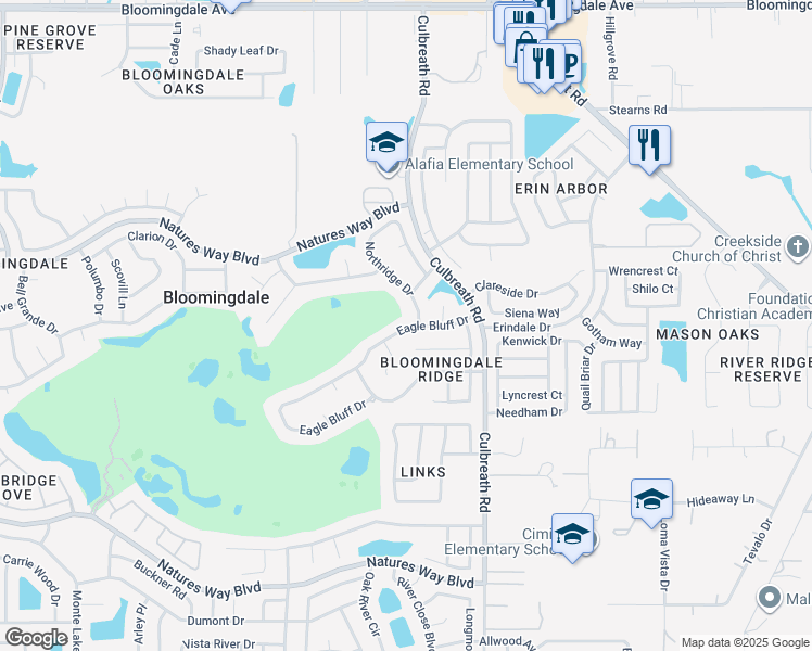 map of restaurants, bars, coffee shops, grocery stores, and more near in Valrico